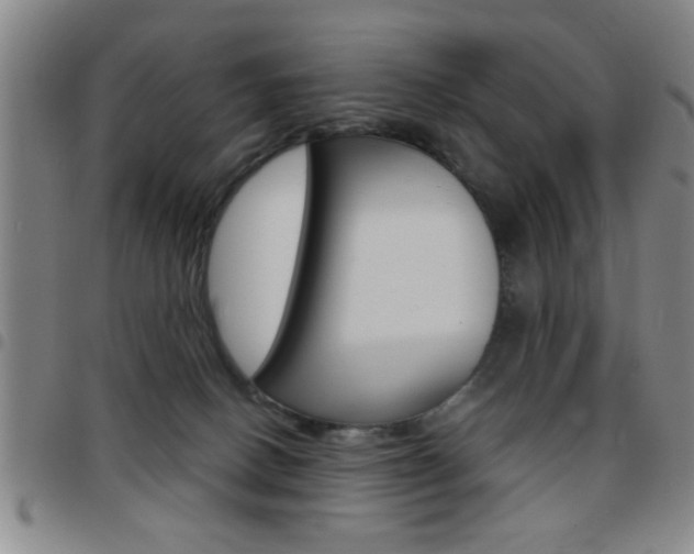 X0000097820082200803140815