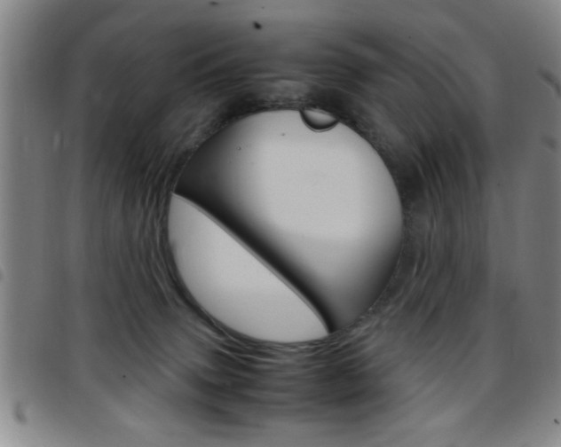 X0000097820083200803140815