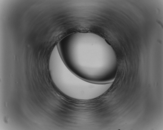 X0000097820084200803140815