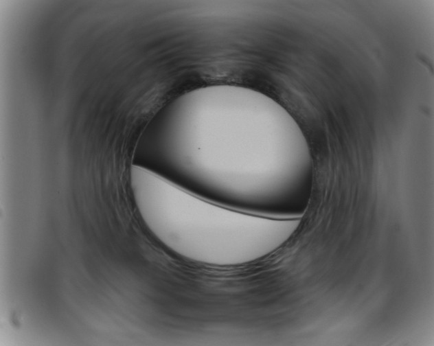 X0000097820085200803140815