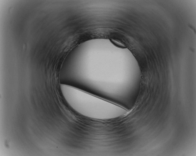 X0000097820086200803140815