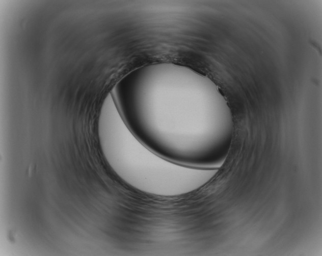 X0000097820088200803140815