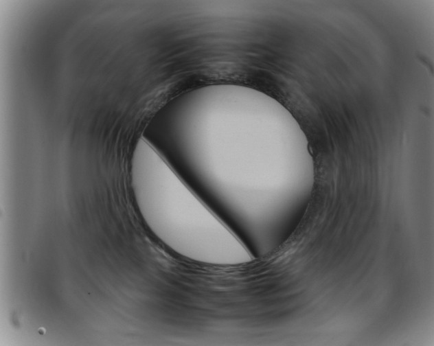 X0000097820089200803140815