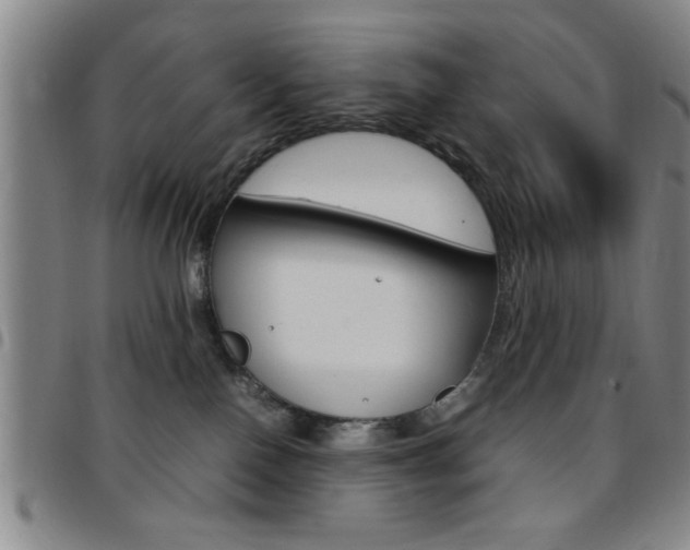 X0000097820090200803140815