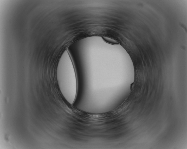 X0000097820091200803140815