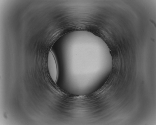 X0000097820092200803140815