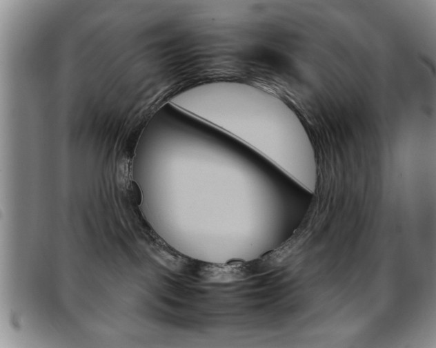 X0000097820093200803140815