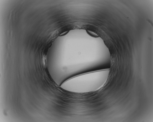 X0000097820094200803140815