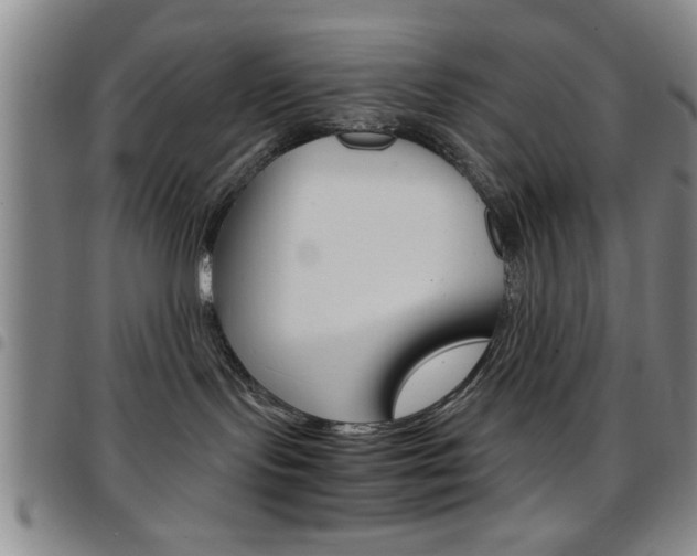 X0000097820095200803140815