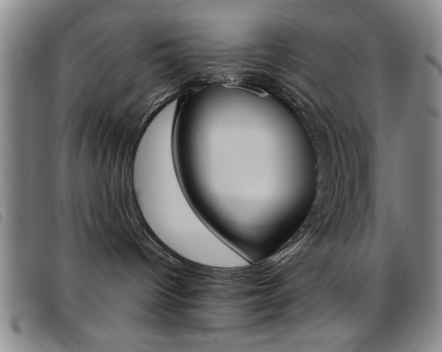 X0000097820096200803140815