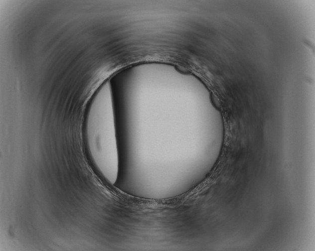 X0000097820098200803140815