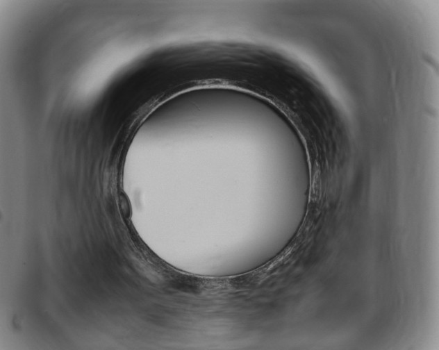 X0000097820099200803140815