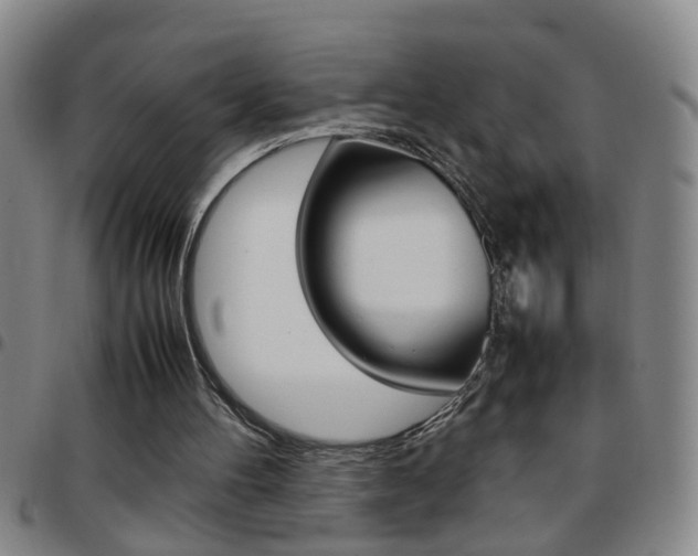 X0000097820100200803140815