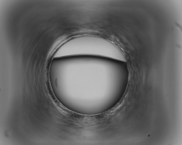 X0000097820101200803140815