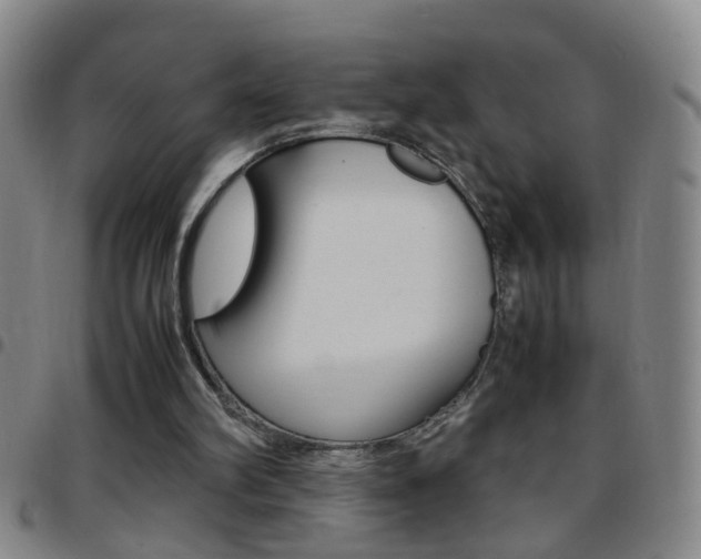 X0000097820102200803140815