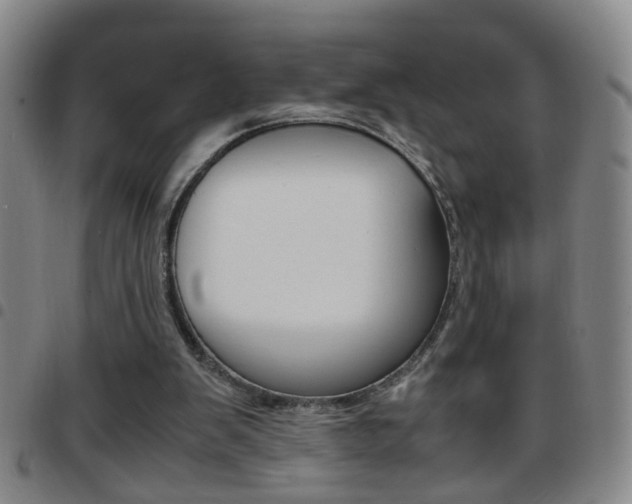 X0000097820103200803140815