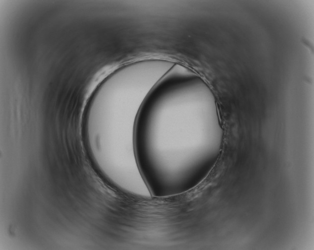 X0000097820104200803140815