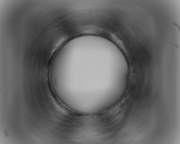 X0000097820106200803140815