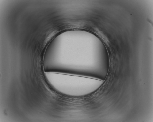 X0000097820107200803140815