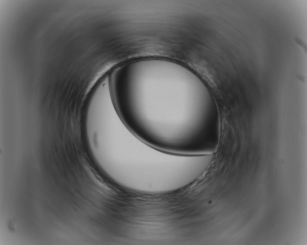 X0000097820108200803140815