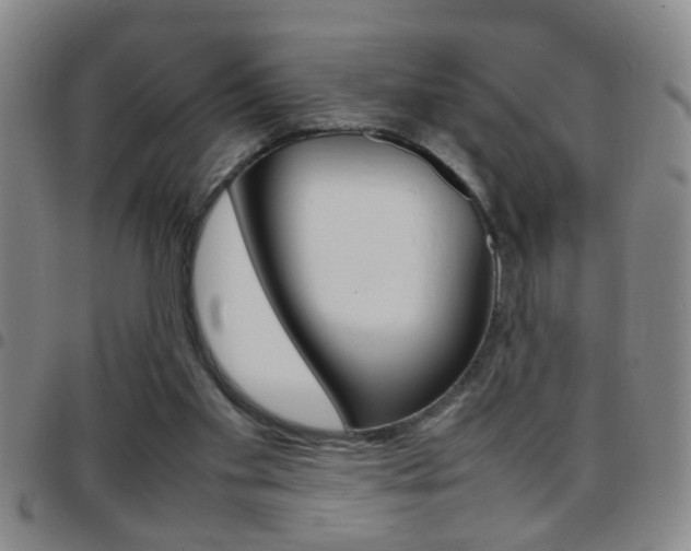 X0000097820109200803140814