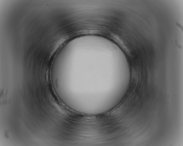 X0000097820110200803140814