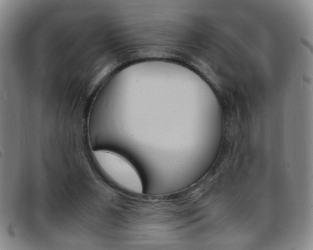 X0000097820111200803140814