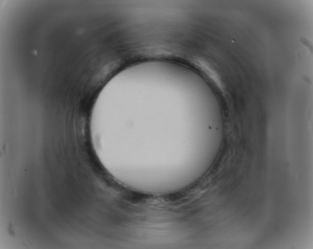 X0000097820115200803140814