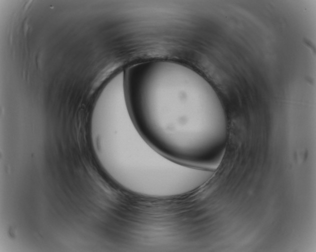 X0000097820116200803140814