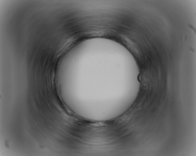 X0000097820118200803140814