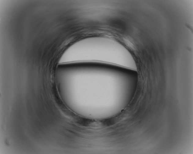 X0000097820119200803140814