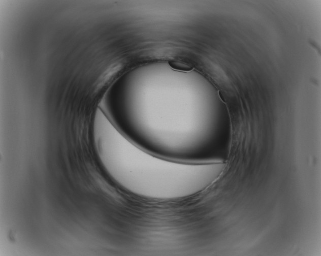 X0000097820120200803140814