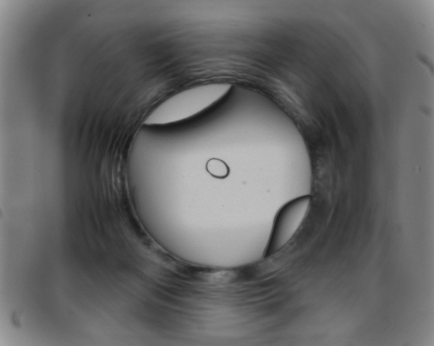 X0000097820122200803140814