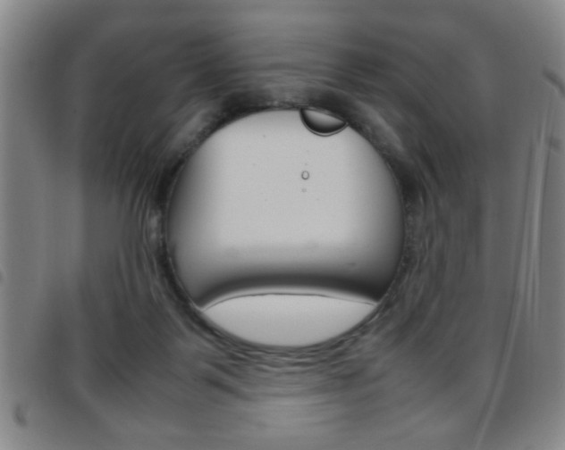 X0000097820123200803140814