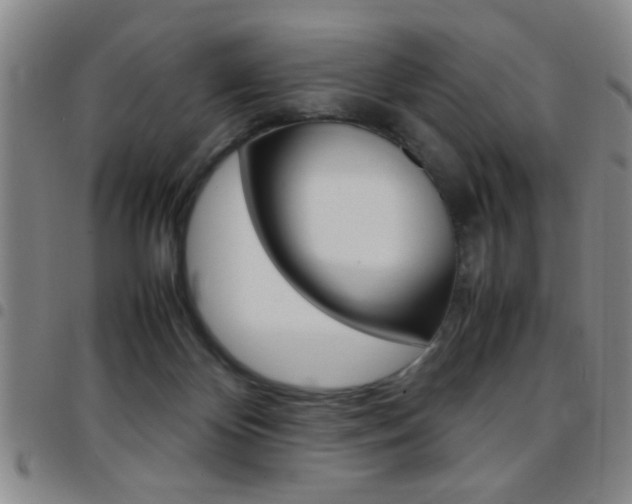 X0000097820124200803140814