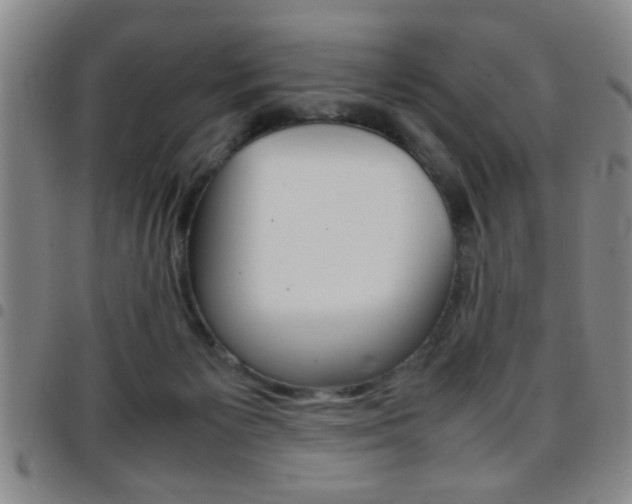 X0000097820125200803140814