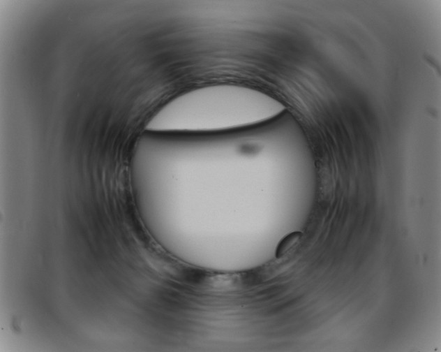 X0000097820126200803140814