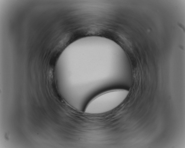 X0000097820127200803140814