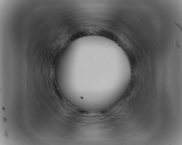 X0000097820129200803140814