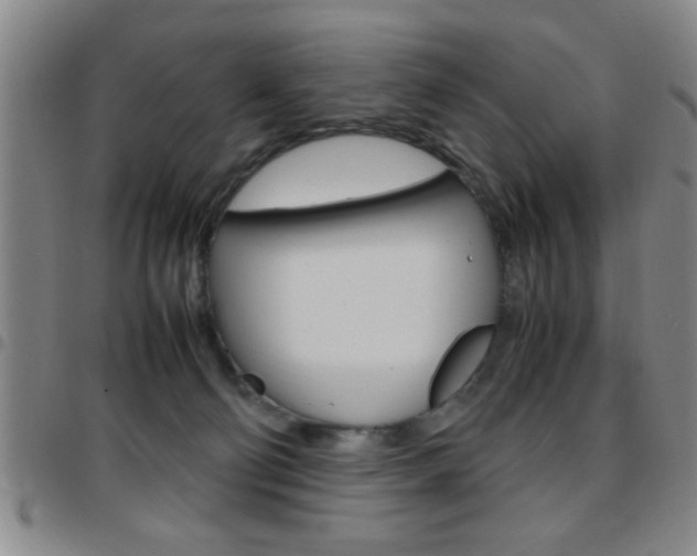 X0000097820130200803140814