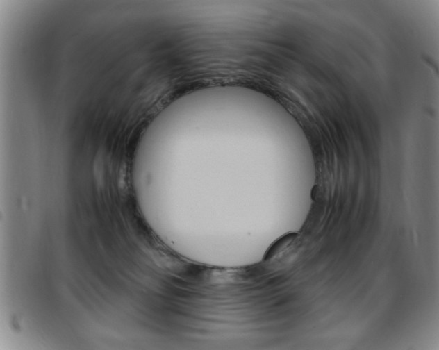 X0000097820134200803140814