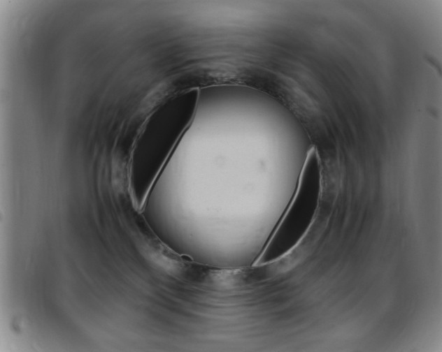 X0000097820136200803140814