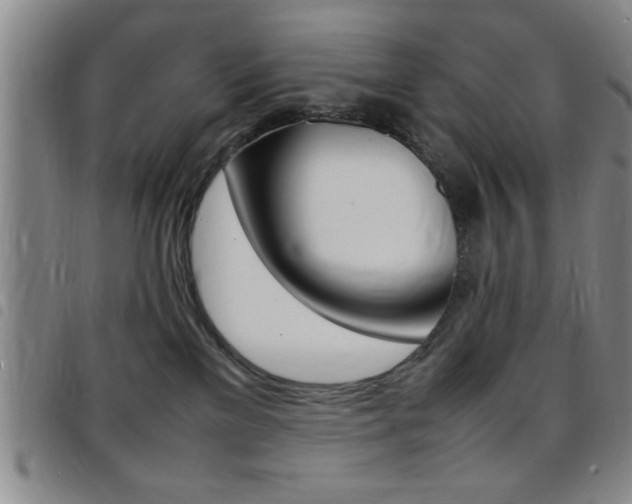 X0000097820137200803140814