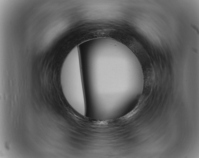 X0000097820140200803140814