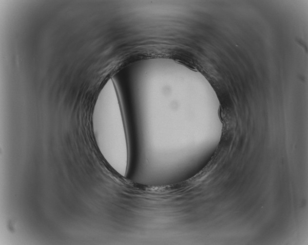 X0000097820141200803140814