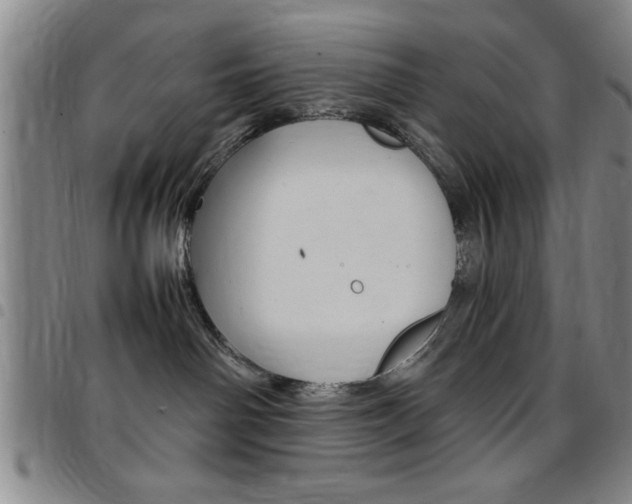 X0000097820142200803140814