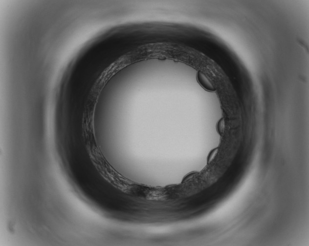 X0000097820143200803140814