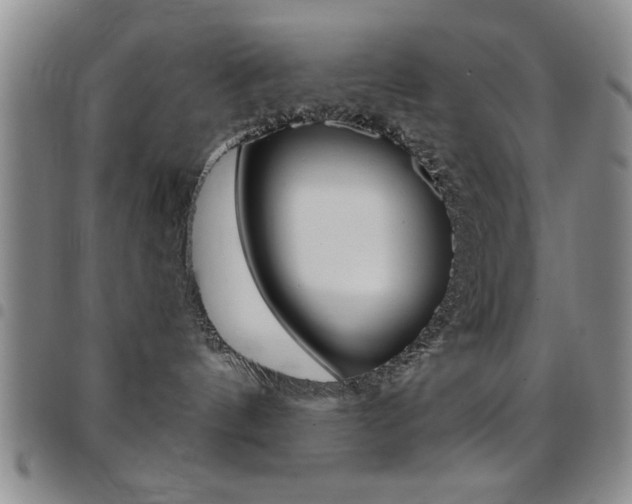 X0000097820144200803140814