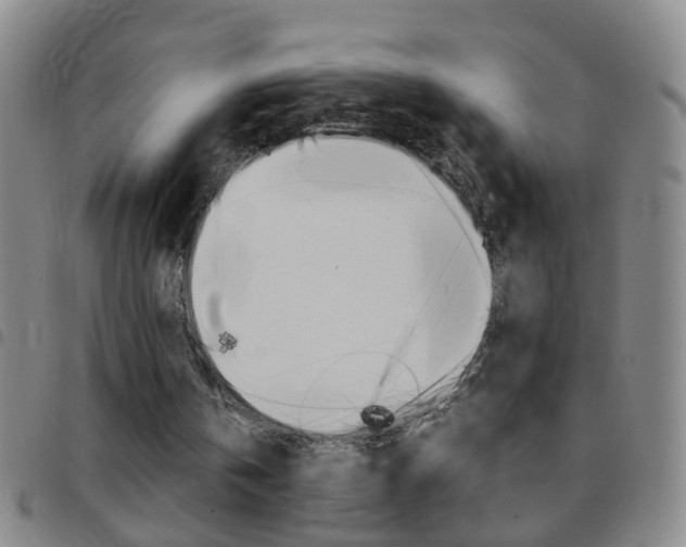 X0000097820146200803140813