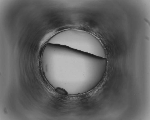 X0000097820149200803140813